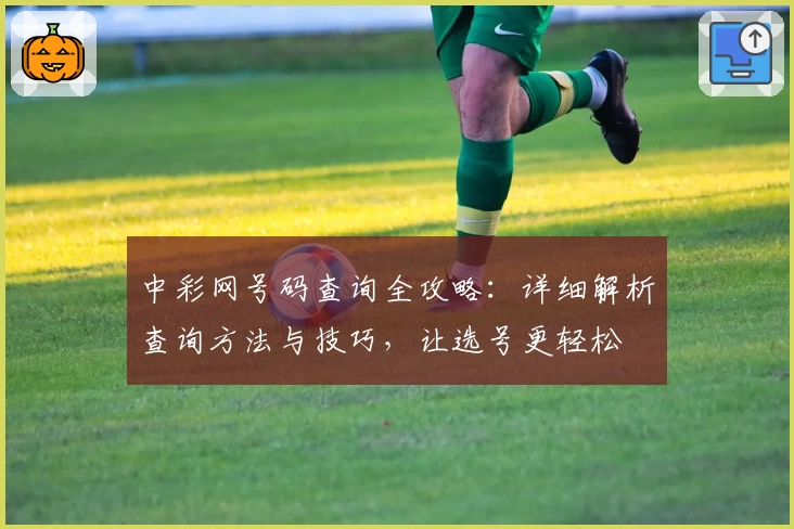 中彩网号码查询全攻略：详细解析查询方法与技巧，让选号更轻松