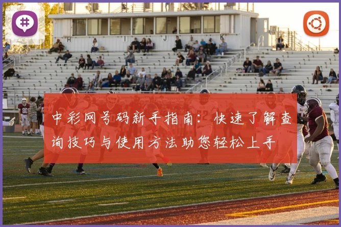 中彩网号码新手指南：快速了解查询技巧与使用方法助您轻松上手