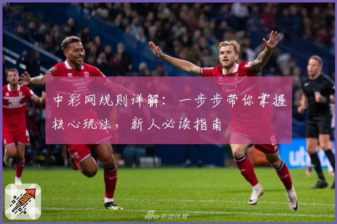 中彩网规则详解：一步步带你掌握核心玩法，新人必读指南
