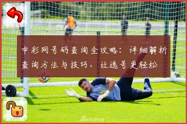 中彩网号码查询全攻略：详细解析查询方法与技巧，让选号更轻松