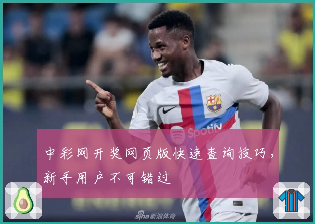 中彩网开奖网页版快速查询技巧，新手用户不可错过